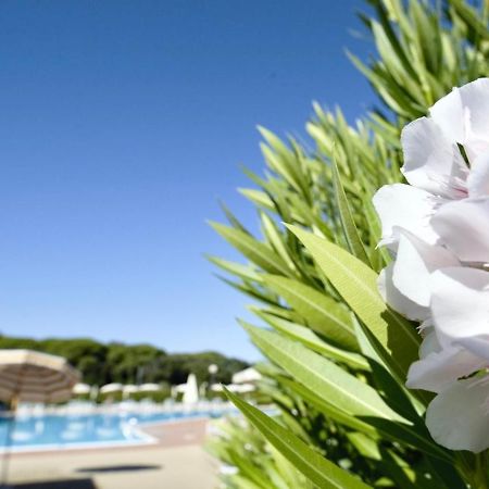 Isa-Apartments 4 Beds In Residence With Swimming-Pool In San Vincenzo, Just 600 Meters From The Sea Exterior foto